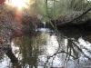 The stream on a late autumn afternoon