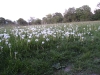 Photographic Competition entry by Eileen Finch 2