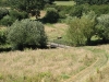 From the arch before the hay cut