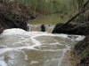 High water in the brook