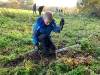 The Scouts helping tree planting