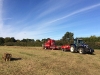 Bailing the hay