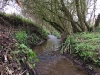 The stream near the New Bridge