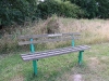 Bench with memorial dog tags