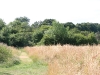 Path down from the arch in summer