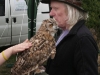 Country Fayre 2013, Owl Display