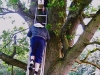 Nest boxes made and put up by local scouts