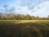 A fine January day in the West Meadow