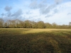 A fine January day in the West Meadow