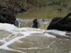 High water in the brook after heavy rain