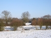 You can see more of the fields when the trees are bare