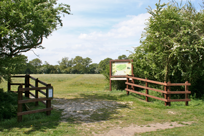 Entry to Fields