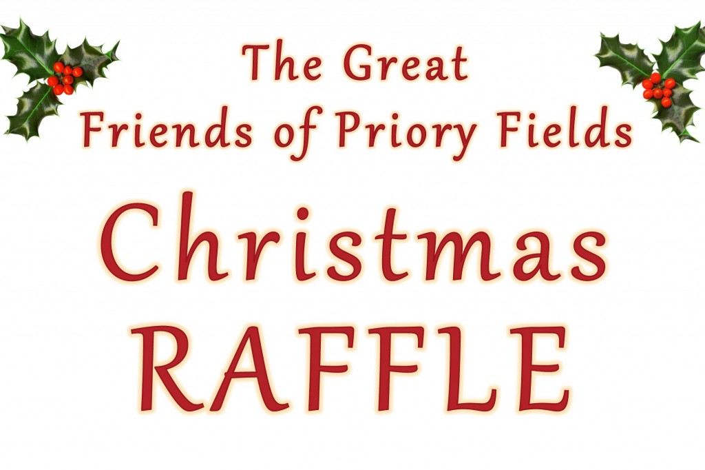 Microsoft Word - Raffle Poster 2023 General 2.docx â Version 2